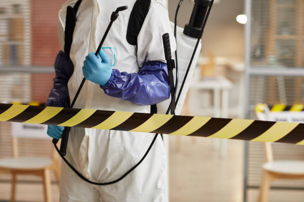 Professional Biohazard technician working in Palo, MI